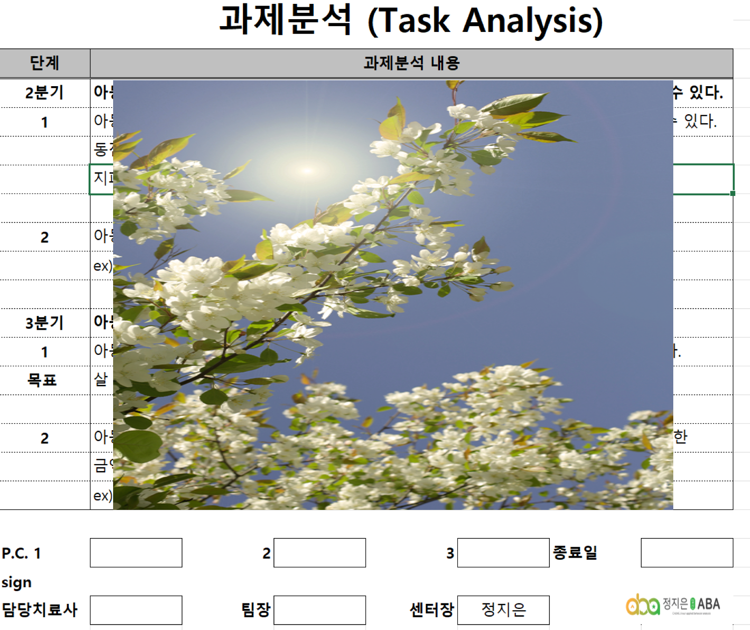 일산 정지은 ABA 과제분석 예시